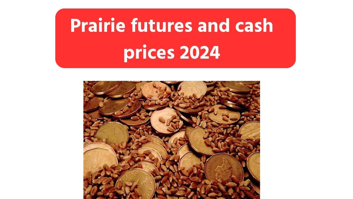 Canada Prairie futures and cash prices 2024